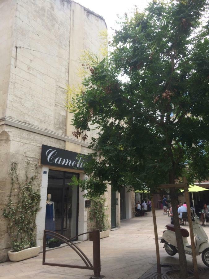 Saint-Rémy-de-Provence Nostradamus 아파트 외부 사진